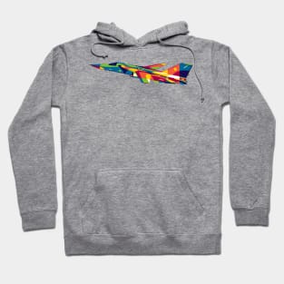 F-111 Aadvark Hoodie